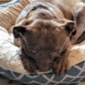 Meet your Posher, Sheena